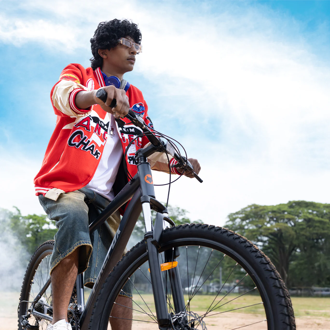 Mountain bike